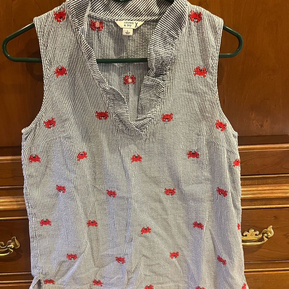 crown & ivy Blue and Red Striped Blouse
